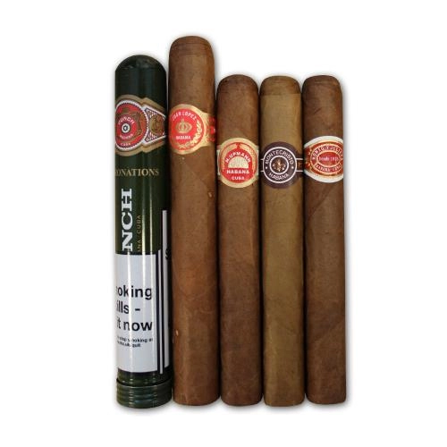 500x500_petit_corona_medium